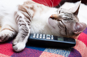 Nehmen Sie Kontakt mit uns auf. Ihr Tier ist bei uns gut aufgehoben.